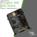BSI Modul | Peugeot 308 | Klonen - Datenübernahme
